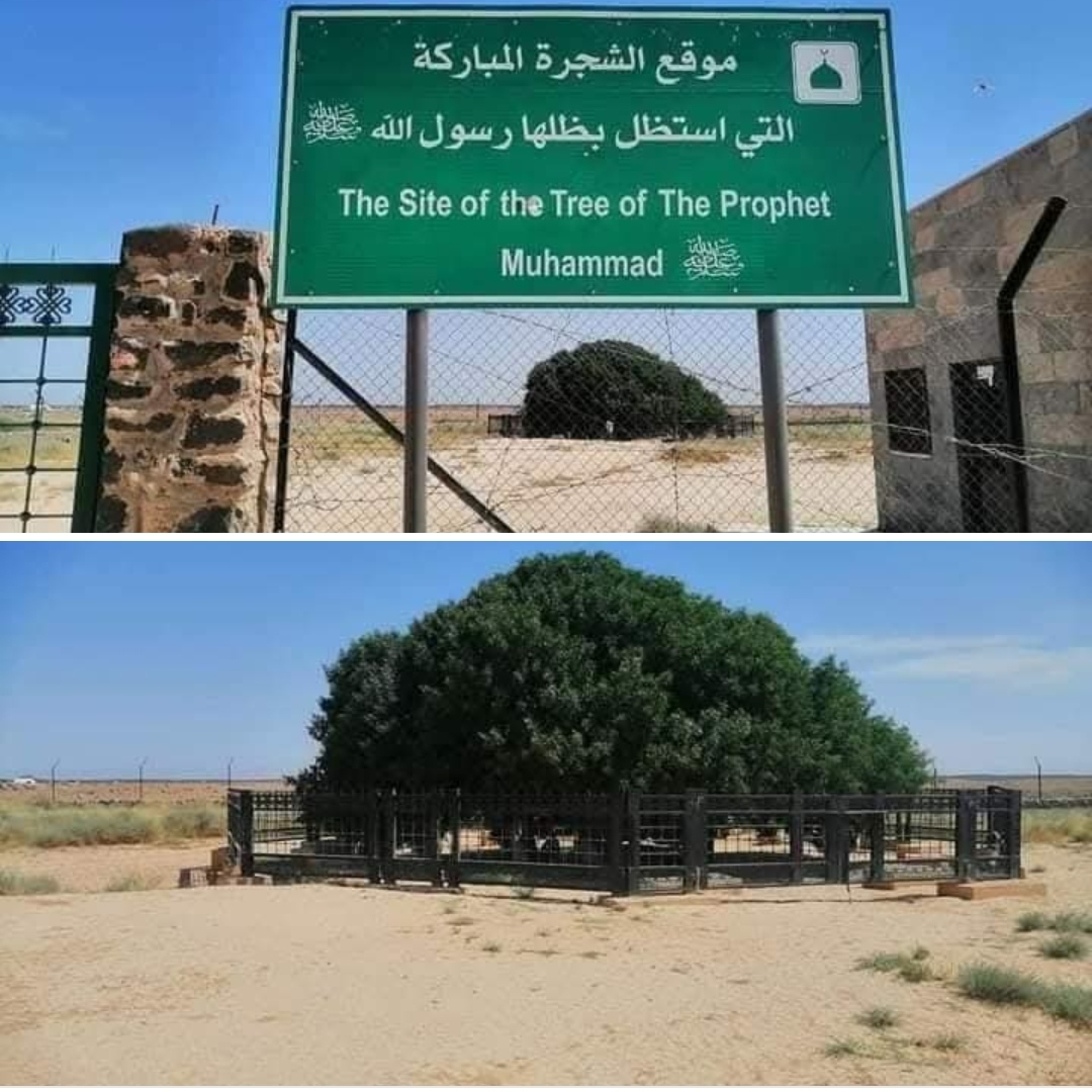 முத்து முஹம்மது முஸ்தஃபா ஸல்லல்லாஹு அலைஹி வஸல்லம் அவர்கள் இளைப்பாறிய மரம் 