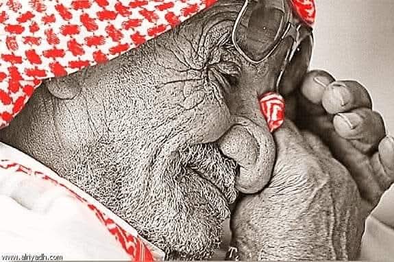 யாராவது அழுதீர்களா